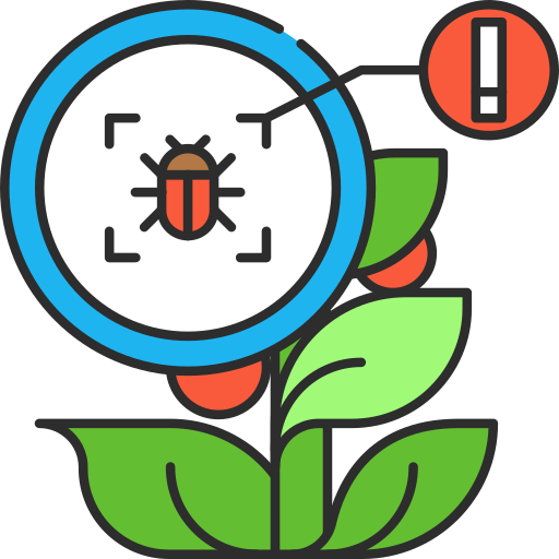 insecto